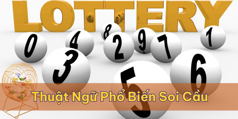 Soi cầu 3 càng là thuật ngữ được nhiều người tìm hiểu